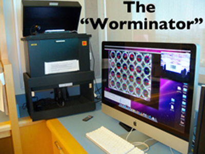 worminator 300x400